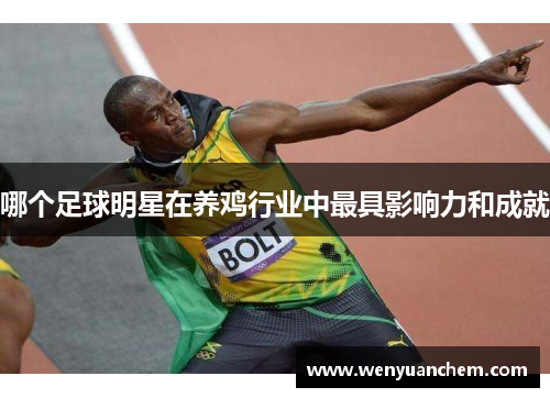 哪个足球明星在养鸡行业中最具影响力和成就